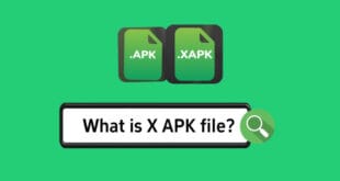 File XAPK