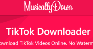 Download TikTok MP3 MusicallyDown- Konversi TikTok ke MP3 Online